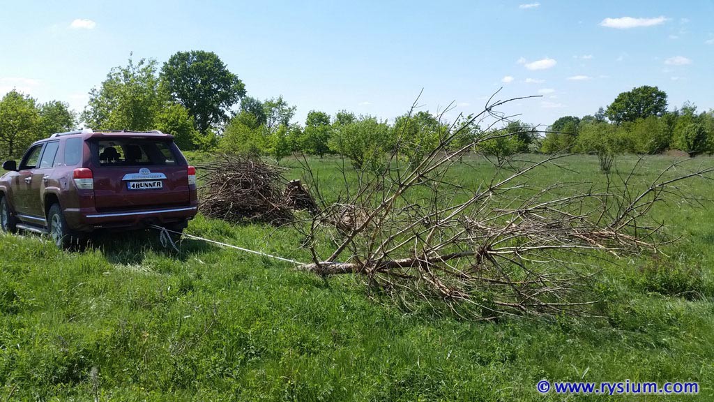 2018_poland11.jpg