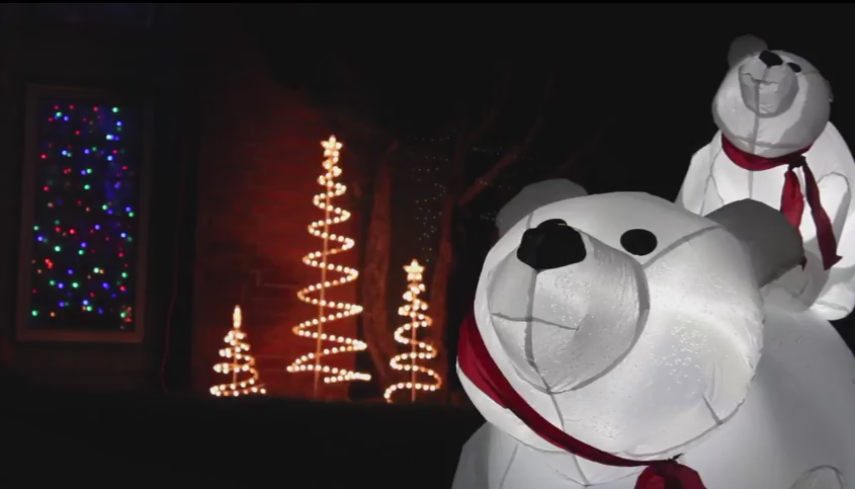 christmas%20bears.png